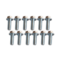 12 PCS Extractor Header 3/8" Head Bolt Kit Fit For Holden Commodore VB VC VH VK VL VN VP VT