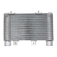 Intercooler Fit For Ford Ranger PJ PK For Mazda BT50 2.5L 3.0L Turbo Diesel 2006-2011