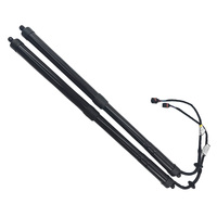 2 x Electric Tailgate Gas Strut Fit For Land Rover Range Rover Sport LR051443 LR062078 2012-2013