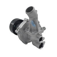 Water Pump Fit For LDV G10 1.9L Turbo Diesel 2016-ON